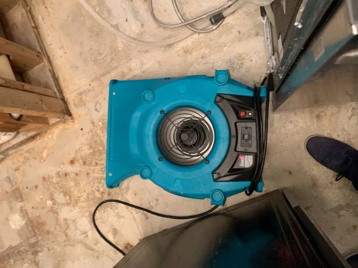 Air mover drying equipment for Mold Remediation & Removal in Northlake